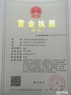 深耕黑土地，服務轉型路——教育咨詢服務助力發展全解析